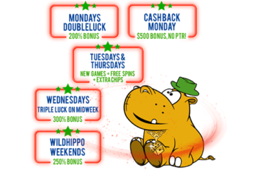 Lucky Hippo Casino Promos