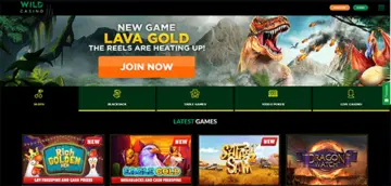 Wild Virtual Casino Games