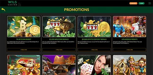 Wild Casino Bonuses and Promotions